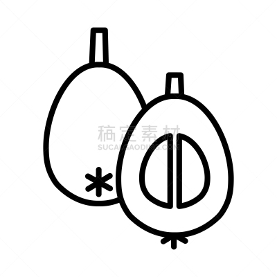细的,枇杷,李子,绘画插图,轮廓,琵琶,计算机图标,矢量,完整,直的