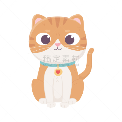 衣领,猫,可爱的,家畜,宠物,小的