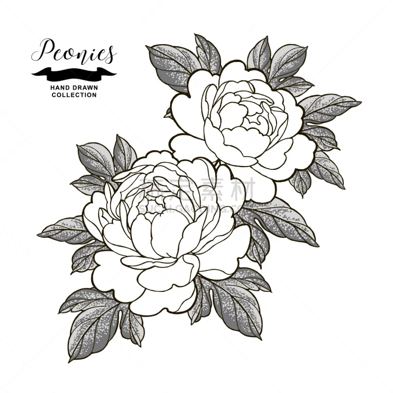 牡丹 时尚 叶子 日本 草图 直的 女人 自然美 花图片素材下载 稿定素材