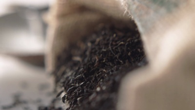 搂抱茶