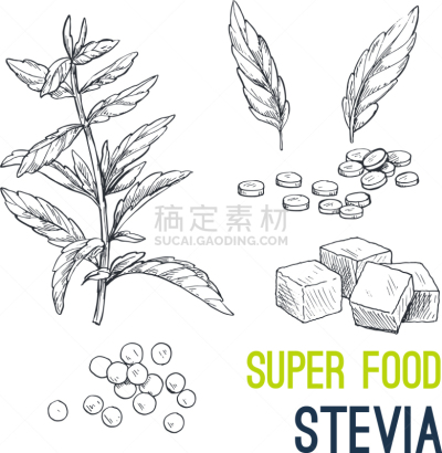 食品,草图,动物手,有机食品,自然,素食,蔬菜,精神振作,绘制,收集