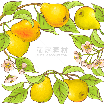 梨,边框,水果,草图,农业,清新,食品,维生素,熟的,离开
