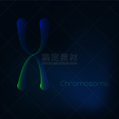 染色体,黑色,蓝色背景,英文字母X,生物学,分离着色,微生物学,人,发光