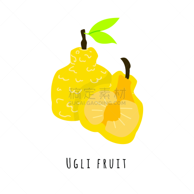 牙买加丑橘,矢量,绘画插图,平坦的,菜单,转基因,背景分离,热带气候,简单,熟的