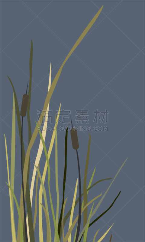 bush swamp reed on a lake