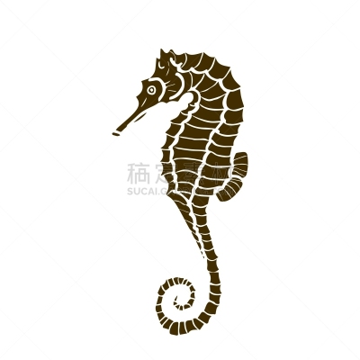 海马,彩色图片,一只动物,海洋,动物,品牌名称,黑白图片,马,矢量,做