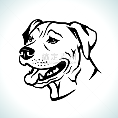 肖像,狗,绘画插图,美国,美国斗牛梗,矢量,暴力,纯种犬,梗犬,背景分离