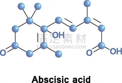 酸,植物,荷尔蒙,分离着色,白色,有机食品,化学制品,健康保健,生物化学,图像