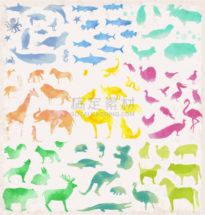 动物,水彩画,抽象,猴子,斑马,狮子,海豚,象,海星,鸟类