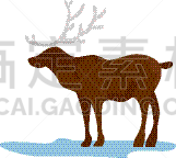 阿拉斯加,鹿,国内著名景点,因纽特人,野生动物,温度,莱卡犬,雪,狗