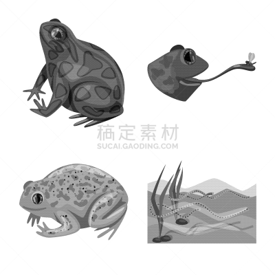 分离着色,自然,野外动物,符号,舞台,一个物体,生物学,野生动物,莫诺湖,草