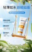模板缩略图
