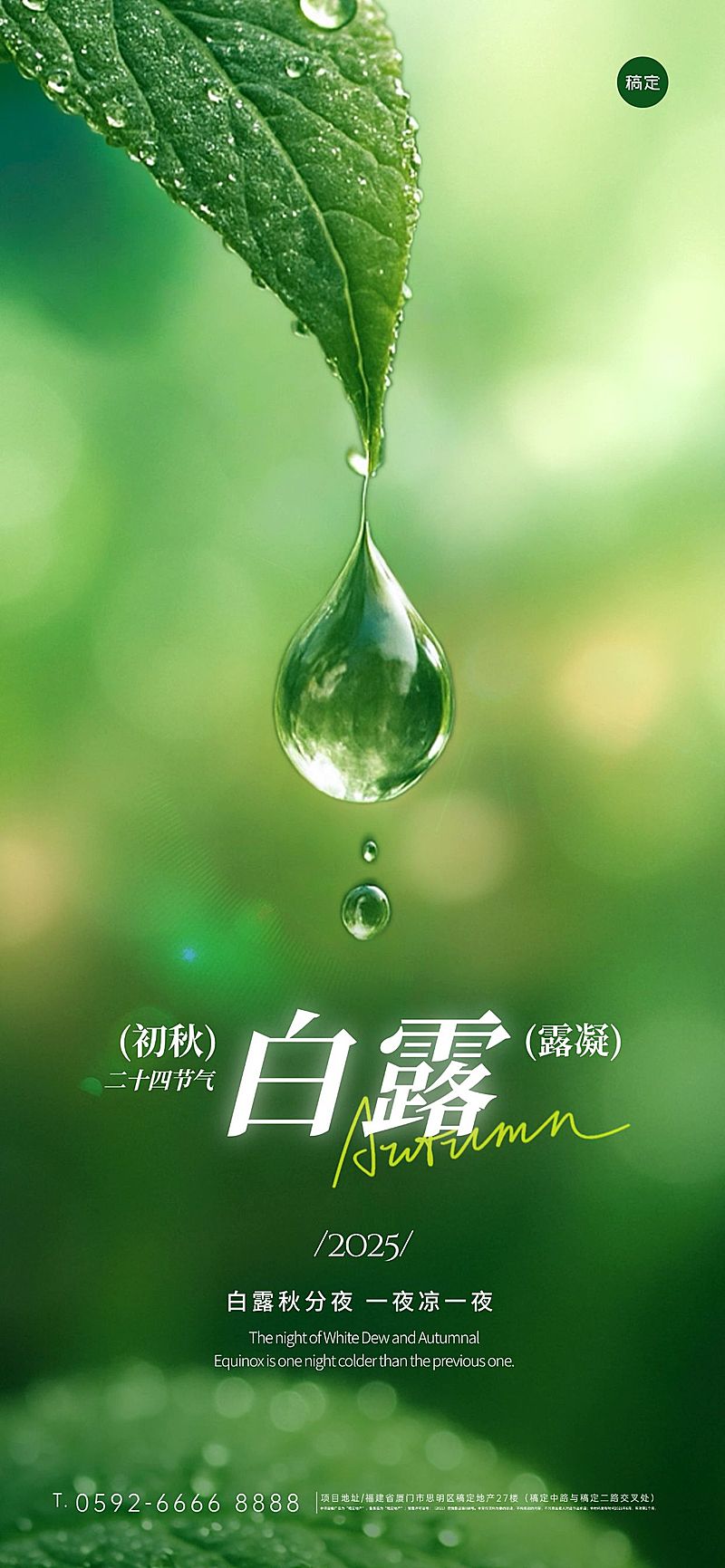 白露节气祝福实景感全屏竖版海报AIGC