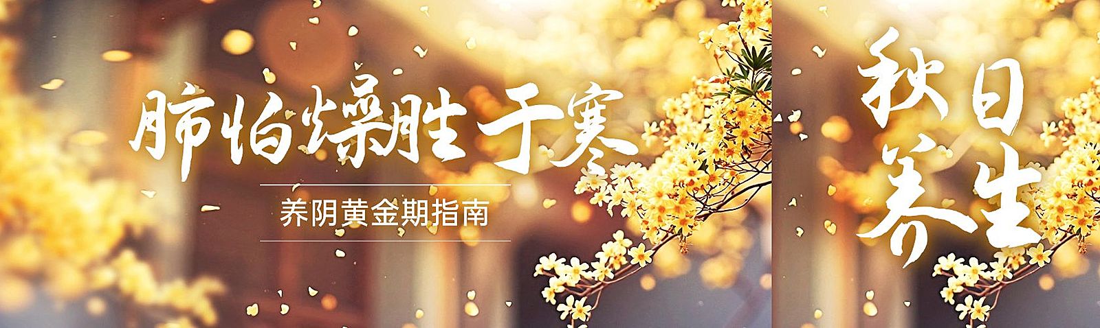 秋季养生攻略宣传推广公众号双封面AIGC