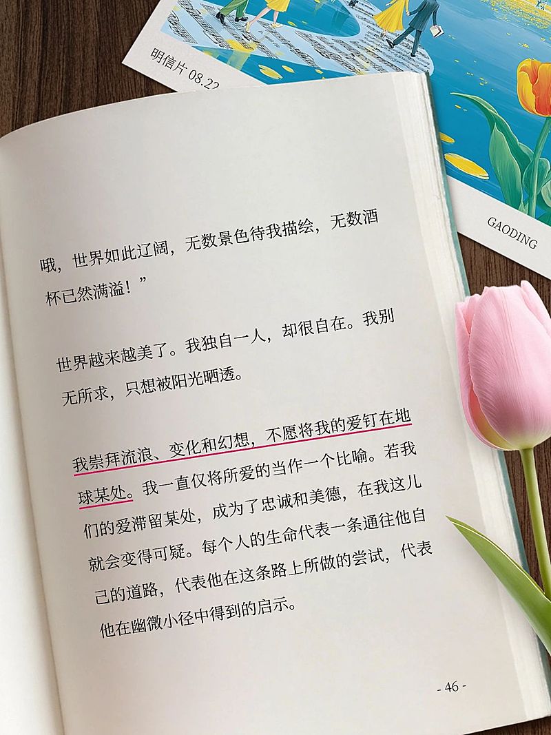 情感领域书摘语录分享书单文案小红书封面