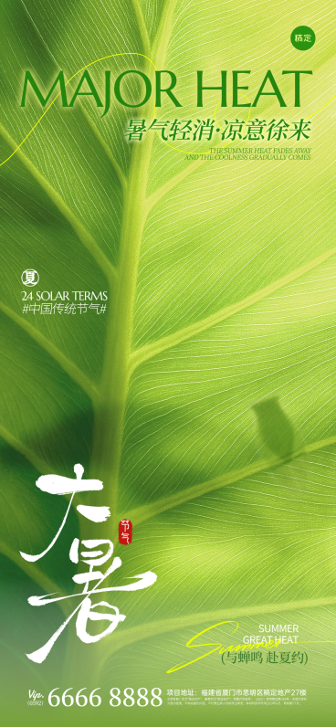大暑光影感荷叶剪影海报AIGC预览效果