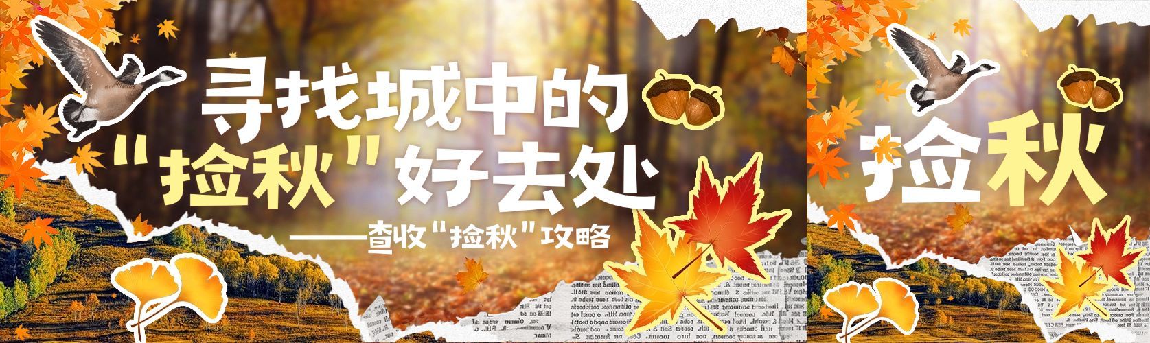 秋季捡秋活动宣传话题讨论公众号首次图双封面预览效果