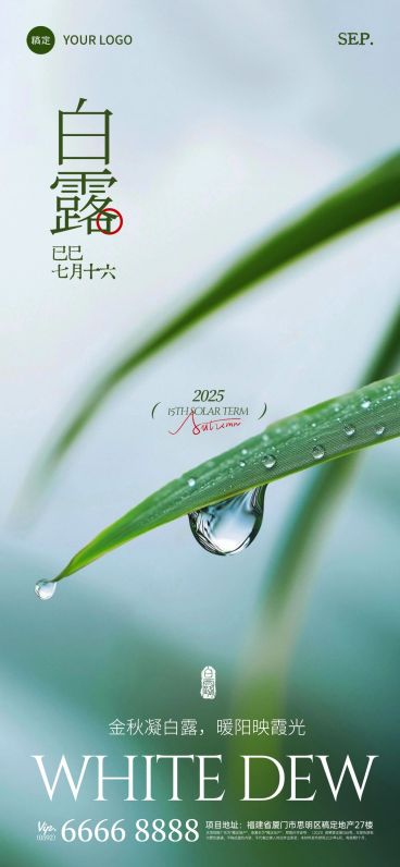 白露节气祝福实景感全屏竖版海报AIGC预览效果