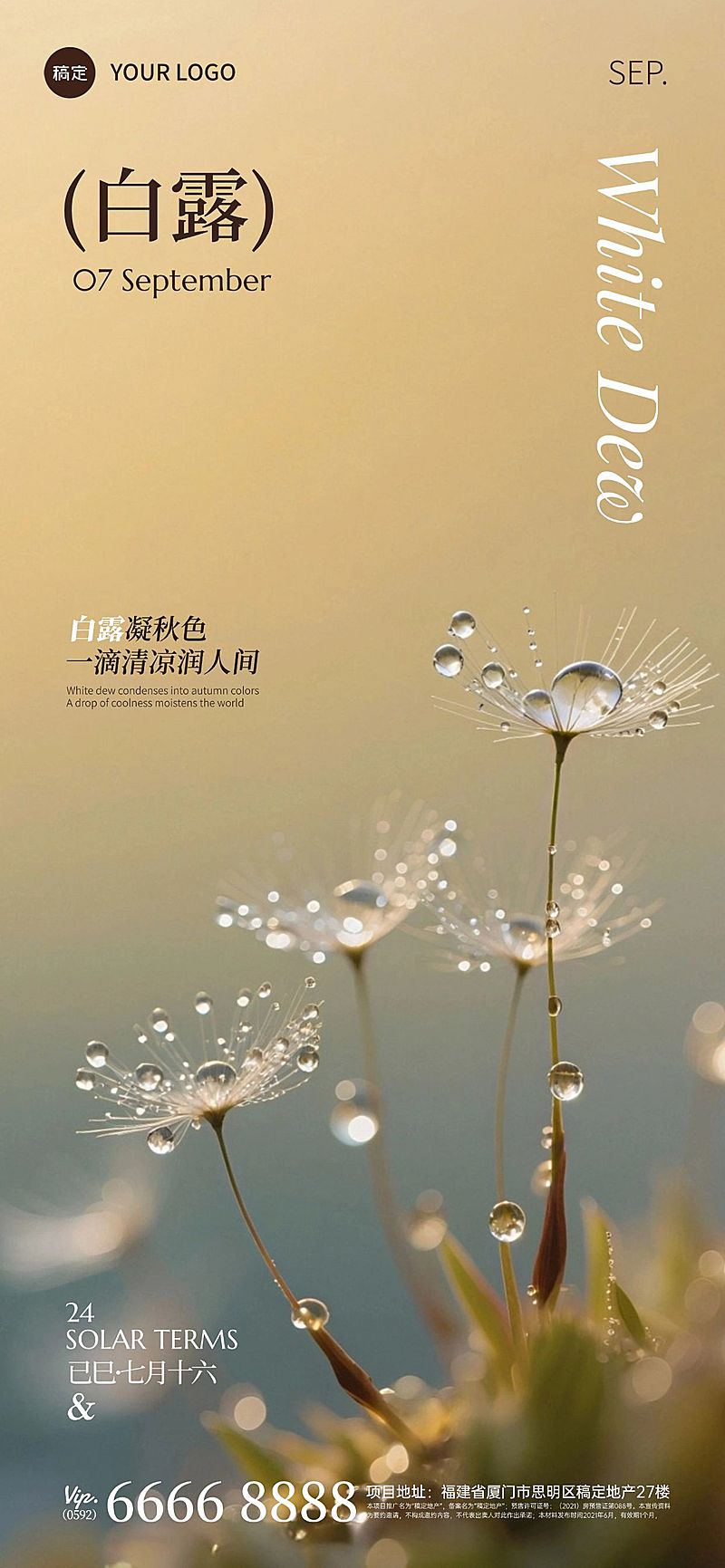 白露节气祝福实景感全屏竖版海报AIGC