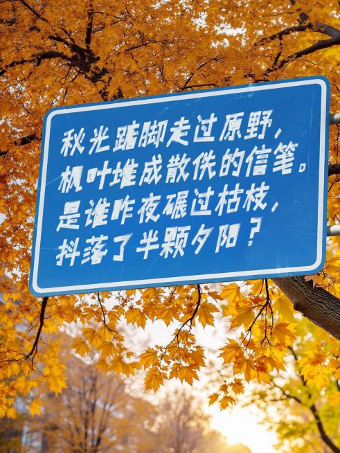 情感语录分享秋天松弛感实景图文排版小红书封面预览效果