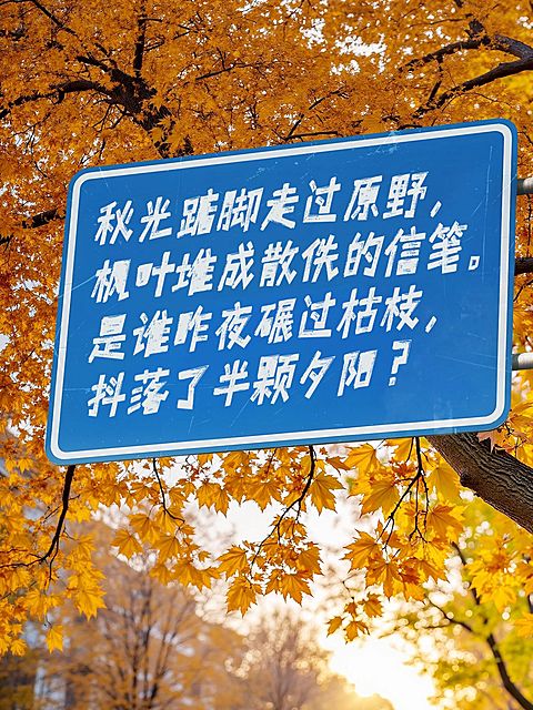 情感语录分享秋天松弛感实景图文排版小红书封面