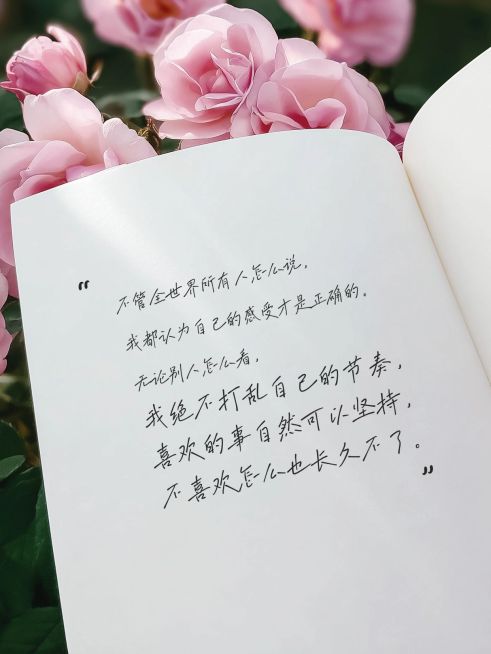 情感领域书摘短文案语录分享小红书封面预览效果