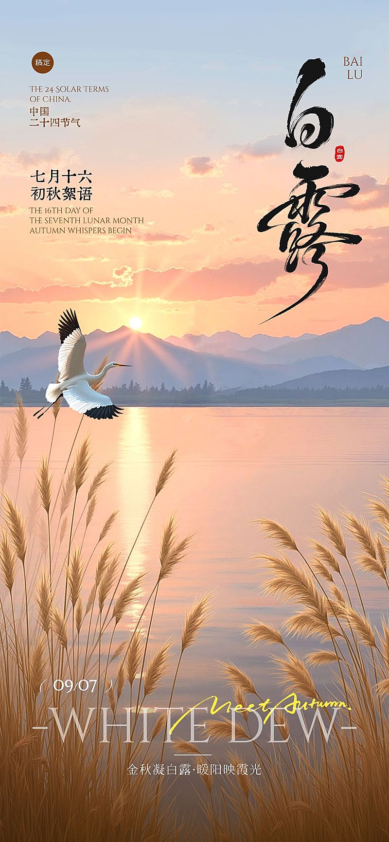 白露实景感湖泊芦苇白鹭海报AIGC