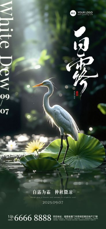 白露节气祝福实景感全屏竖版海报AIGC预览效果