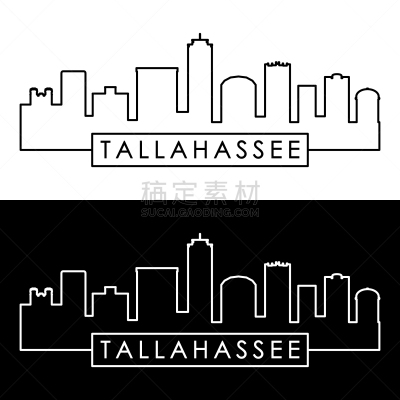直的,城市天际线,塔拉哈西,活页夹,旅途,商务,卡比多广场,佛罗里达,装饰物,品牌名称