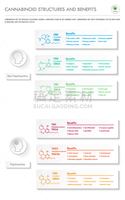 垂直画幅,分子,受体,淋巴系统,植物,香熏油,反差,炎症