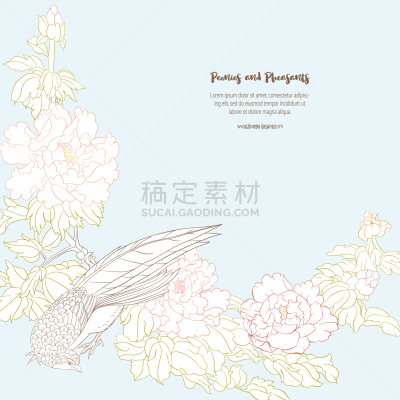 牡丹,枝,雉,商务,传统,贺卡,结婚请柬,模板,鸟类,花