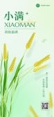模板缩略图