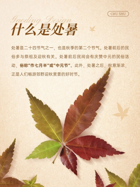 处暑节气习俗科普小红书套装小红书配图预览效果