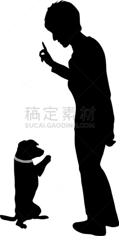 狗,女人,纯种犬,梗犬,动物,斯班尼犬,犬科的,坐,剪影,训练