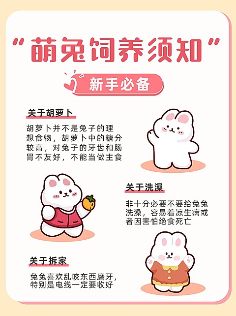 宠物饲养知识科普小红书配图
