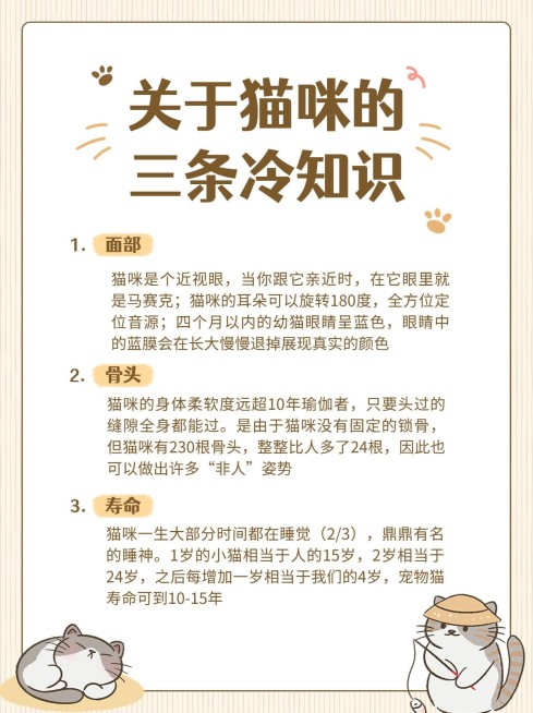 简约手帐风宠物知识科普小红书配图预览效果
