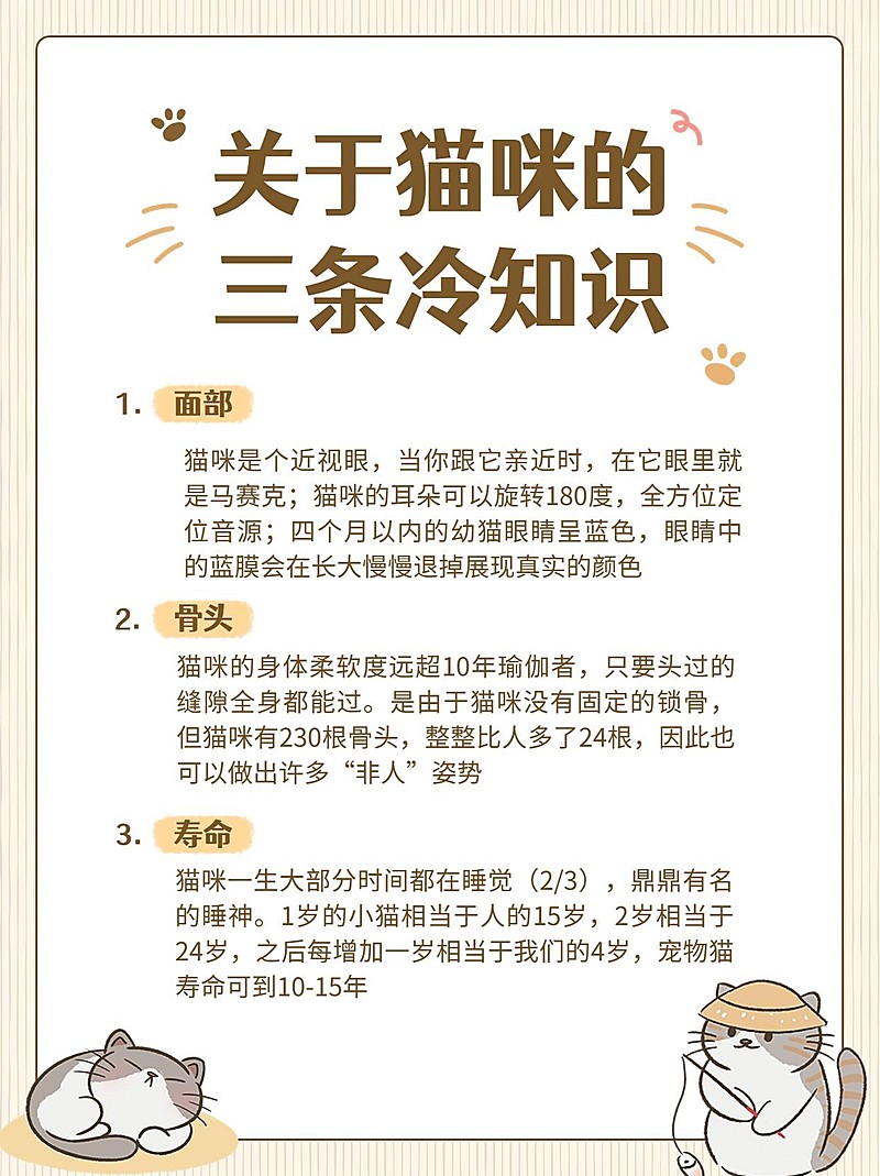 简约手帐风宠物知识科普小红书配图