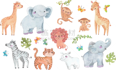 水彩画,非洲,动物,狩猎动物,虎,白色,黑色,可爱的,小的,收集