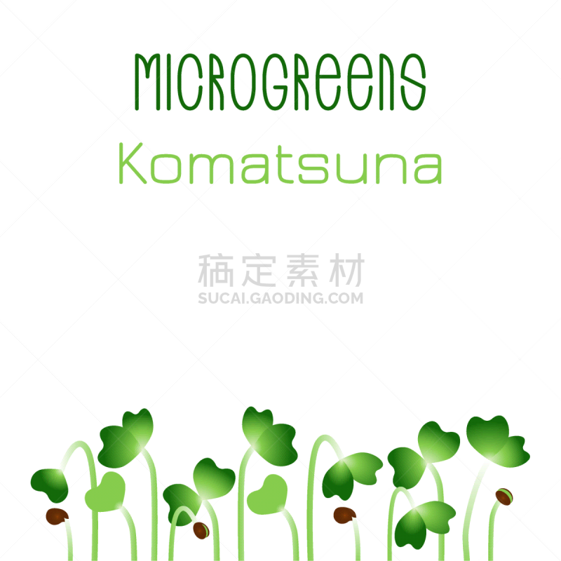 microgreens komatsuna seed packaging design