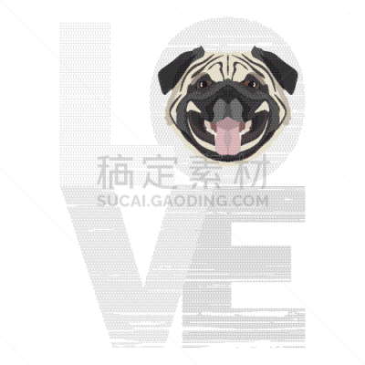 巴哥犬,白色,宠物,图像,狗,矢量,吠声,小狗,爱,设计