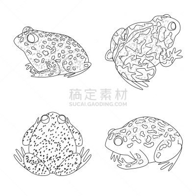 动物,两栖纲,式样,符号,生物学,有毒物质,野生动物,牛蛙,人类腺体,爬行纲