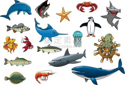 海洋,动物,鱼肉,卡通,图像,鲔鱼,鲽,水母,鲸,海豚
