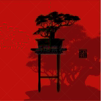 盆景,传统,复叶,蔬菜,自然美,树,剪影