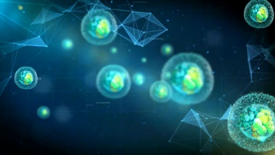 3D医学视频动画。运动中的细胞