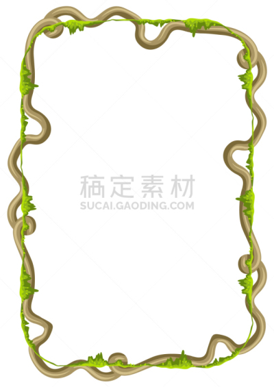 枝,野生植物,藤蔓植物,边框,环境,野生动物,植物群,公园,植物,缠绕