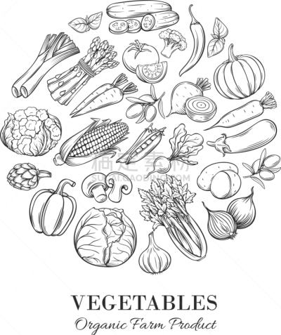 蔬菜,圆形,芹菜,菜单,请柬,传单,绘制,构图,午餐