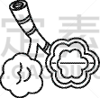 轮廓,腺泡,时尚,计算机图标,生物学,肺叶,分离着色,呼吸运动,白昼,生病