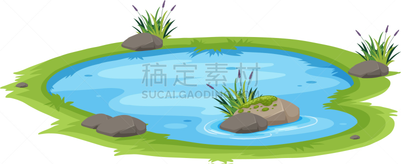 自然,池塘,白色背景,分离着色,白色,图像,矢量,湖,水,装饰