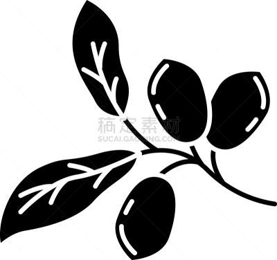 植物,水果,符号,绘画插图,植物学,黑色,矢量,工业,荷荷巴,巴西