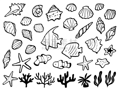 线条画,海洋,绘画插图,符号,线条,背景分离,小的,维纳斯梳,布置,画画